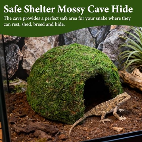Reptile Moss Hideout, Half Round Cave for Lizards Snakes Frogs | Reptile Moss Hideout, Half-round dome shape, Full moss exterior coverage, Spacious interior room, Stable on all substrates