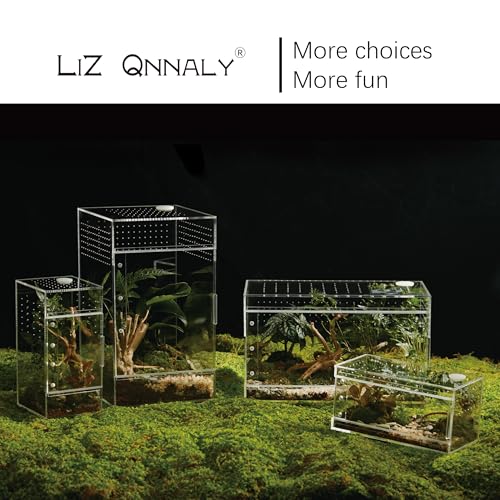Acrylic Terrarium for Reptiles & Spiders – Small/Medium/Large Leak-Proof Enclosure (Horizontal/Vertical) | Ideal for Tarantulas, Jumping Spiders, Frogs & Geckos(Small, Horizontal) - size: Small