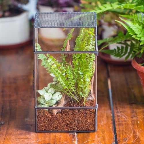 NCYP Glass Terrarium with Door and Mesh for Small Insects - 5.1 x 3.9 x 9 Inches Rectangle Reptile Habitat, Black - Modern Home Tabletop Decor (Terrarium Only)