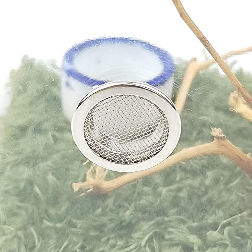 Acrylic Critter Keeper Jumping Spider Enclosure Snail Container House Accessories Reptile Terrarium Insect Enclosure Tank Snail Spider Habitat Cage Reptile Isopods Lizards Roach Feeding Box