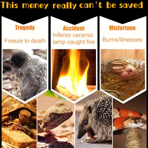 2 Pack Heat Emitter Reptiles 100W Heat Lamp Bulb Ceramic Reptile Heat Bulb Black No Light Emitting Heat Lamp (100, Watts)