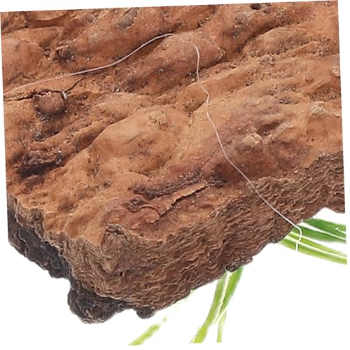 20pcs Natural Cork Bark Reptile Tank Decor Tree Bark Hide for Terrarium Background Climbing Habitat Aquarium Accessory for Lizards Snakes Turtles