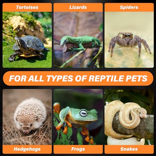 Simple Deluxe 75W Ceramic Heat Emitter 2-Pack, Reptile Heat Lamp No Light Emitting Heat Bulbs for Amphibian Terrarium, Bearded Dragon Lizard Snake Turtle, Brooder Coop Incubating Chicken - size: 75W *2, style: D-75mm