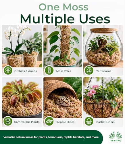 Long Fiber Sphagnum Moss for Indoor Plants Peruvian Orchid Moss Ultra Clean Odor Free Fast Expanding Moisture Retention Airy Drainage for Aroids Carnivorous Plants Terrarium Reptile Bedding (11lb) - size: 11lb