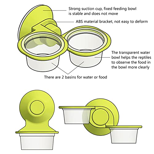 Suction Cup for Frog Feeder Feeding Food Water Bowl Escape Proof Dish Feeder Bowl