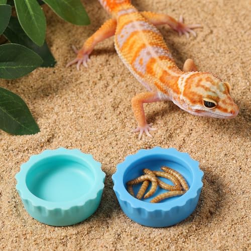 9pcs Crested Gecko Food Dish 1.26inch Silicone Geckos Feeding Cups and Spoons Set Colorful Food and Water Bowl Gecko Tank Accessories for Crested Geckos Hermit Crabtortoise Tarantula Lizard