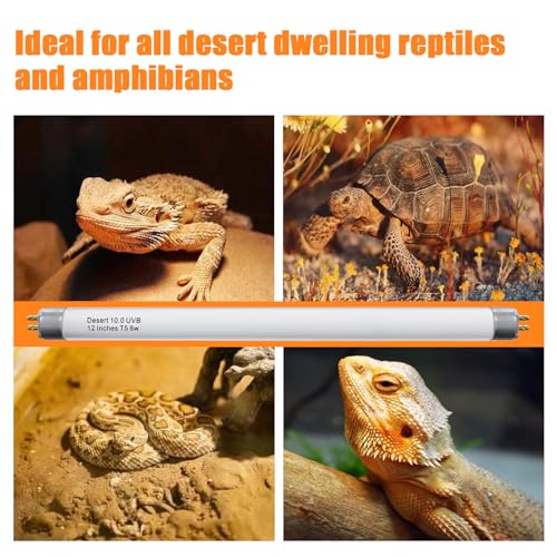Celiwace T5 10.0 UVB Reptile Light Bulb 8W 12 Inch, Desert Reptile UVB Bulb 8 Watt for Lizards, Bearded Dragons, Chameleons, Turtles, Tortoises 3 Pack - size: 8W Light Bulbs (3 Pack)