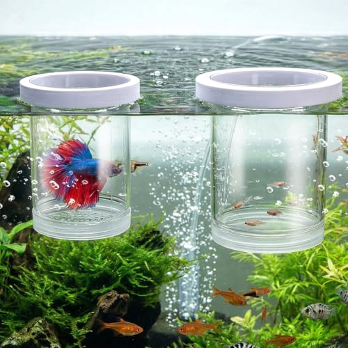 Breeder Box for Fish Tank, 2 Pieces, Floating | Plastic Aquarium Isolation Box, Mesh Fish Nursery Separator Tank Hatchery Incubator for Shrimp, Betta, Clownfish, Guppy