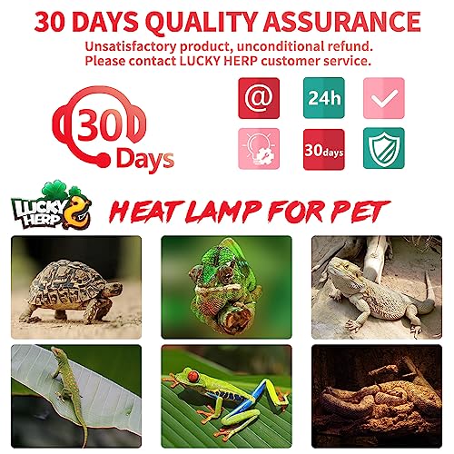 LUCKY HERP Infrared Heat Lamp 100W 2 Packļ¼Reptile & Amphibian Basking Spot Light Bulbs, Red Heat Lamp Bulbs for Reptiles, Bearded Dragon, Turtle, Lizard, Snake, Chicken - size: 100