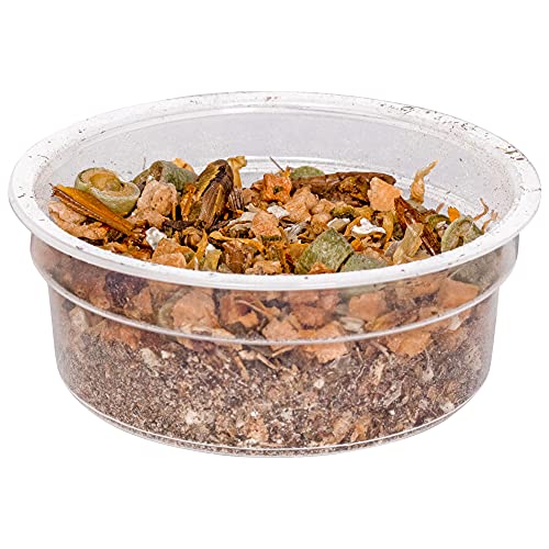 Healthy Herp Bearded Dragon Food Instant Meal for Reptiles - Nutritious Bearded Dragon Accessories, Bearded Dragon Food - Made in USA - for Box Turtles, Lizards, Tortoises - 7 x 0.2 oz (5.7g) Cups - size: 0.2 Ounce (Pack of 7), style: 7-Pack Cups