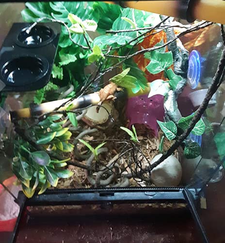 Resin Reptiles Branch for Terrarium | Crested Gecko Tank, Arboreal Cage Decoration, For Tree Frog Gecko Lizard Snake Anole, Climbing