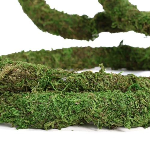 USMOLA Moss Vine for Reptiles, Bendable Climbing Vines Reptile Tank Accessories, Natural Moss Rope for Leopard Gecko, Lizard, Snake, Chameleon, Frog Terrarium Decor (Jungle Green, 6.5 FT) - size: 6.5 FT