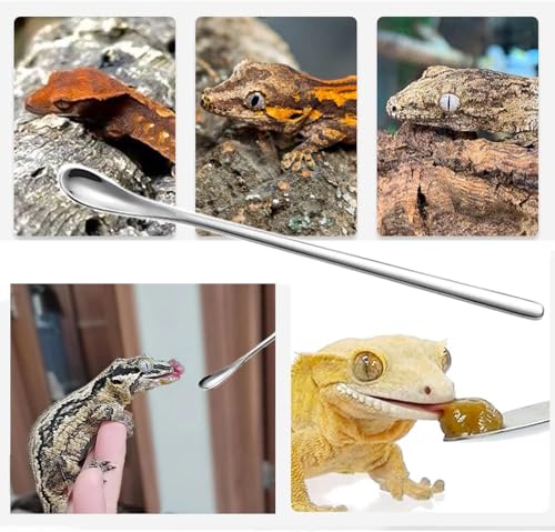 3PCS Stainless Steel Reptile Feeding Tongs with Rubber Tip,10.6” Straight&Curved Long Aquarium or Craft Tweezers,Bearded Dragon Reptile Gecko Frog Snakes Tank Enclosure Accessories (Tweezers&Spoon)