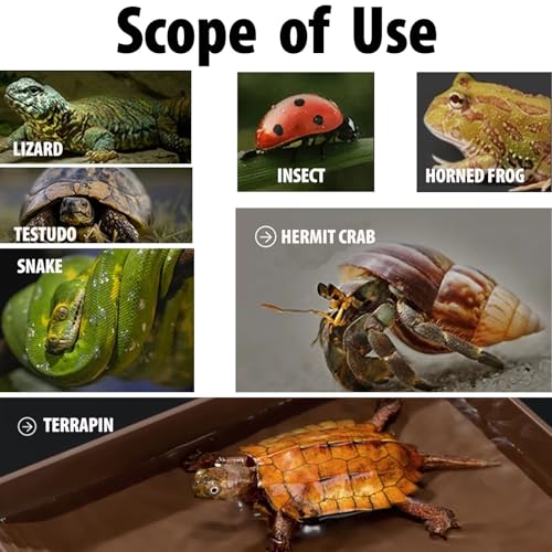 3PCS Tortoise Water Bowl With Ramp - Leaf Food and Water Dish, Turtle Pool, Reptile Bathing Pool, Soaking Dish - Aquarium Habitat Accessories Large - size: Large