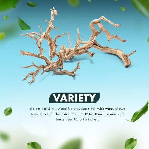 SubstrateSource Natural Aquarium Driftwood for Fish Tanks, Terrarium, Reptile Habitats, Freshwater Aquatic Decor - Small to Large Pieces (Ghost Wood (Small) 8-12", 3 Pieces) - size: 3 Pieces