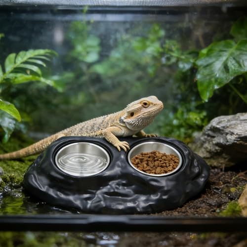 Magnetic Resin Reptile Feeding Ledge - Black Double Feeder with 8 Replacement Cups (3 Types), Strong Magnet Gecko Food and Water Dish for Crested Gecko, Chameleon, Lizard Terrarium Accessories