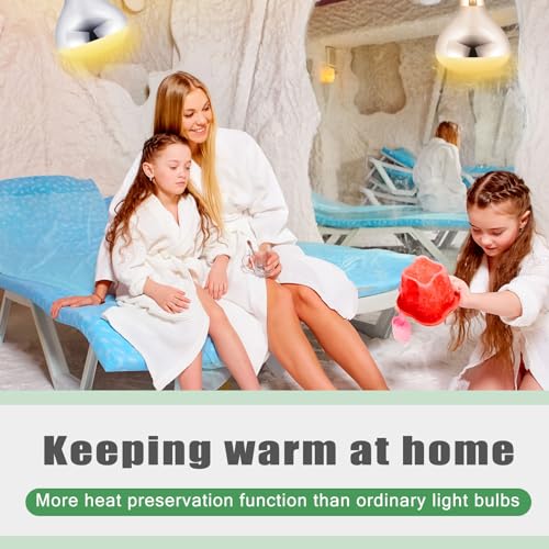 VIHOSE 6 Pack 250 Watt Heat Lamp 120v R40 Heat Lamp Bulbs Glass Incandescent Light Bulbs Incandescent Heating Lightbulbs for Reptiles Chicks Food Puppies Bathroom, Use E26 Base (Silver) - color: Silver