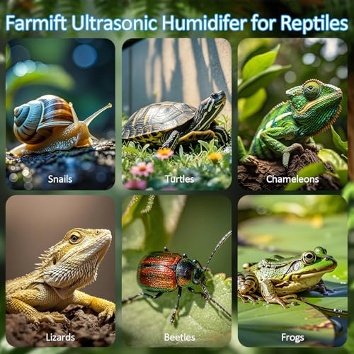 Reptile Fogger with Heating Terrariums Humidifier Fog Machine Mister 6.5L Large Size Ideal for Paludarium/Vivarium/Reptiles/Amphibians/Herps