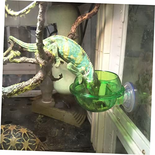 balacoo 4pcs Reptile Feeder Bowl with Cup Dragon Beard Basin for Lizard Gecko Escape Dish for Easy Feeding Design for