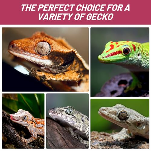 Crested Gecko Food, Fruit Mix Fig and Insects Complete Diet Gecko Food 2oz