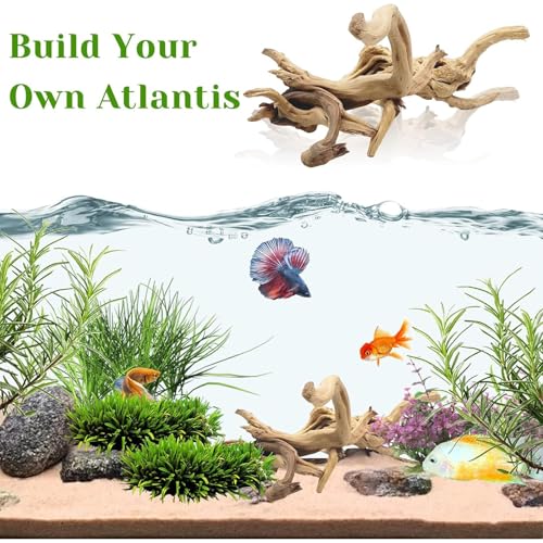 Tfwadmx Natural Driftwood for Aquarium, 11-13 inch Reptile Branches Terrarium Wood Aquarium Trunk Driftwood Tree Fish Tank Log Decoration Pack of 2 - size: Spiderwood(7-13 inch pack of 2)