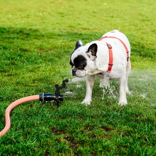 4 Pack Reptile Mister Nozzles,Reptile Misting Nozzles 1/4'', Reptile Fogger Fine Mist Nozzles for Full Water Coverage, Replacement Micro Spray Nozzles