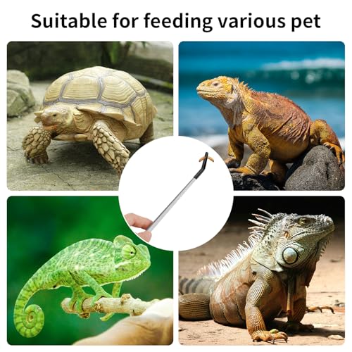 Novery 2PCS Stainless Steel Reptile Feeding Tongs with Rubber Tip, 10.6” Straight & Curved Long Tweezers for Aquarium or Craft, Bearded Dragon Tank Snakes Enclosure Accessories, Terrarium Supplies