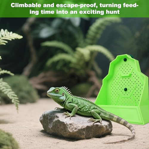 Large Capacity Bearded Dragon Feeder, Escape-Proof Reptile Corner Hunting Bowl with Suction Cups Wall-Mounted Reptile Feeding Box for Lizards Geckos Chameleons & Frogs (Green)