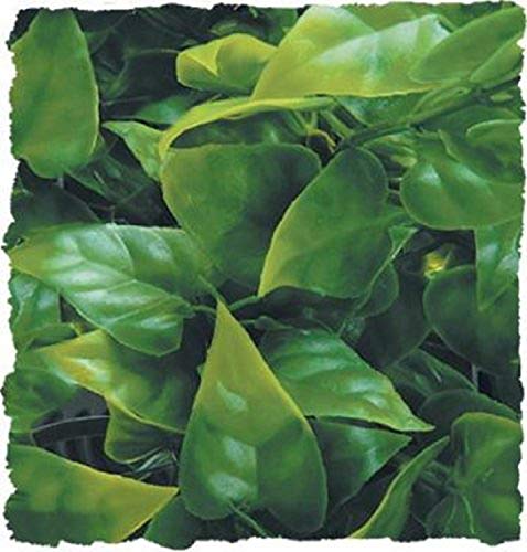 Zoo Med Naturalistic Bush Plant Mexican Phyllo, Large - size: 22"h
