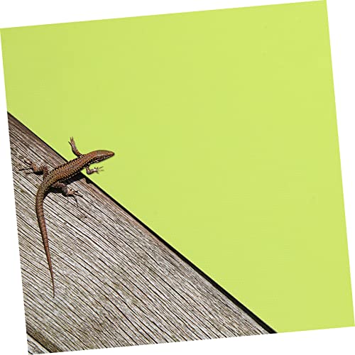 Toyvian 2pcs Reptile Carpet Mat Washable Terrarium Bedding for Snakes Turtles Lizards More Reptile Floor Liner for Tanks