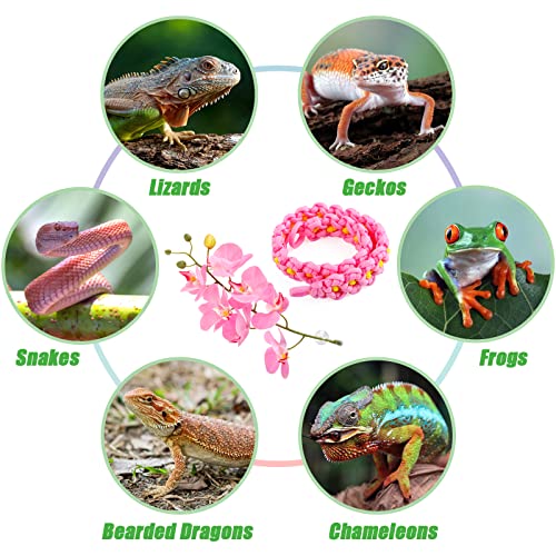 Amphibian Vines Plants,Amphibian Hanging Plants, Terrarium Plants Gecko Tank Accessories with Suction Cups Plants Terrarium Decor for Hermit Crab Lizards Geckos Snake