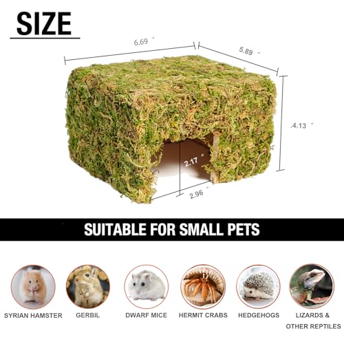 Hamster Hideout - Large, Natural Moss, Handcrafted for Syrian Hamsters, Rats & Guinea Pigs, Hermit Crab,Hedgehogs,Lizards & Other Reptiles(Square, Large) - size: Square, Large