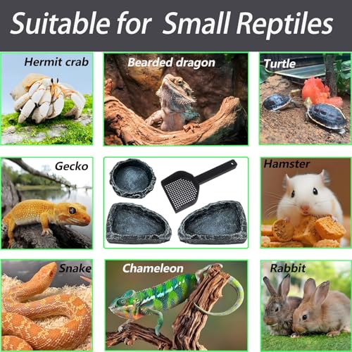 4 Pack Corner Reptile Water Dish Reptile Food Bowl Hermit Crab Food and Water Bowl Small Reptile Feeding Dish for Lizard Bearded Dragon Leopard Gecko Turtle Terrarium Accessories with Scoop