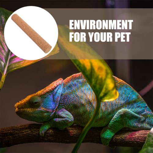 Natural Wood Platform for Turtle Tank and Small Animal Climbing Stand with Sturdy Material and Exercise Aid, Decorative Reptile Climbing Branch for Homes and Pet Shops