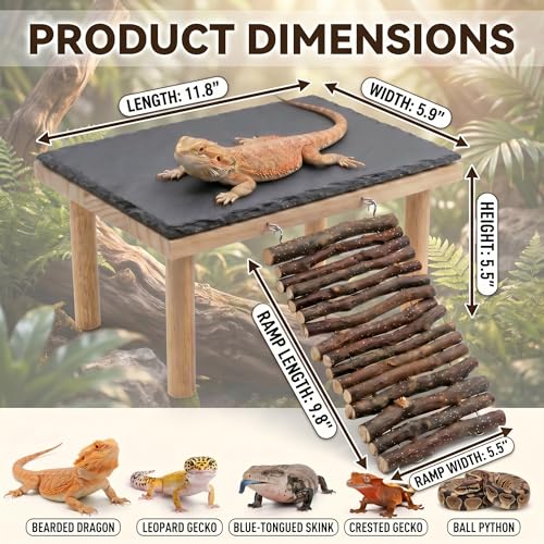 Bearded Dragon Basking Platform, Natural Slate Reptile Basking Rock with Wooden Climbing Ramp, Terrarium Habitat Decor for Lizard, Leopard Gecko, Tortoise, Snake (Medium) - size: Medium