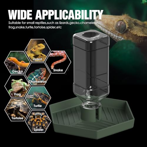 Reptile Water Dispenser-Bearded Dragon Water Bowl - Small Water Dish for Tortoise - Bowls for Reptiles & Amphibians (L) - size: L