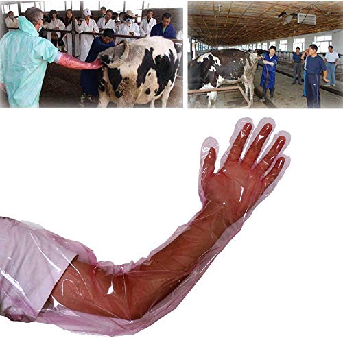 50 Pcs Insemination Long Gloves Disposable Plastic Film Gloves, Veterinary Insemination Rectal Long Gloves 35 inch Long for Livestock Gastrointestinal Examination