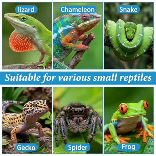 9 Pack Crested Gecko Food Dish & Spoons, Silicone Gecko Feeding Cups Reusable Small Reptile Food and Water Bowl Gecko Tank Accessories for Hermit Crabtortoise Tarantula Lizard, 7 Colors