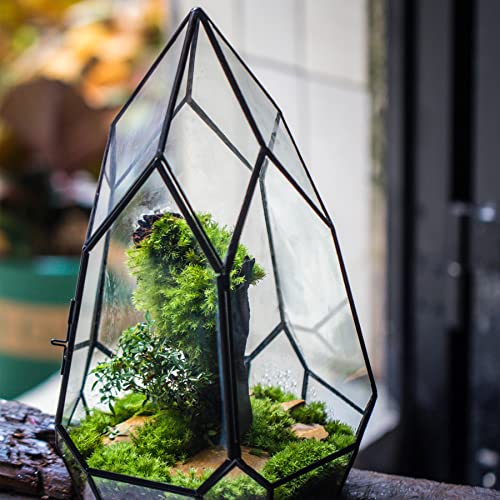 NCYP Black Glass Geometric Terrarium Container with Door - Balcony Planter DIY Display Flower Pot for Succulent Fern - Tabletop Miniature Botanical Fairy Garden (No Plants) 12.2" Height, 7.1" Width