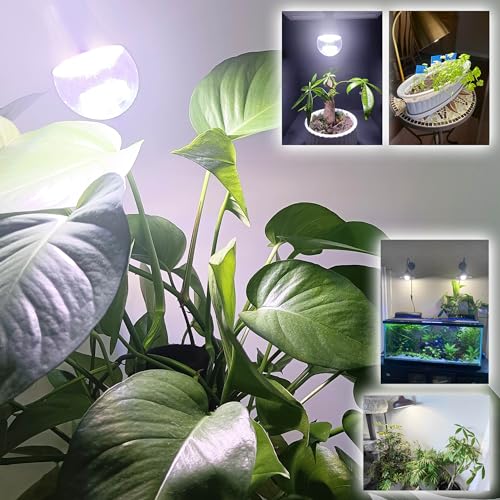 Grow Light Bulbs for Indoor Plants Full Spectrum E26 A19 10W,Grow LED Light Bulb with Balanced Spectrum 5000K Blue Red for Seeds Greens Laboratory,School,Greenhouse, Indore Garden, Hydroponic,1Pcs - size: E26
