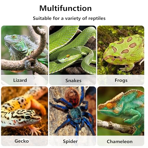 Bearded Dragon Frog Lizard Hammocks, Reptile Hammock with Suction Cups & Tie Straps, Hanging Swing Cradle for Chameleon, Lizards, Geckos, Snakes, Lguana, Reptile & Amphibian Habitat Décor - size: Small