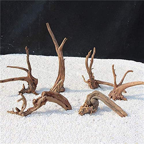 Tfwadmx Aquarium Driftwood Natural Wood 4''-7'' Reptile Branch Fish Tank Tree Plant Stump Ornament Decor 4 PCS