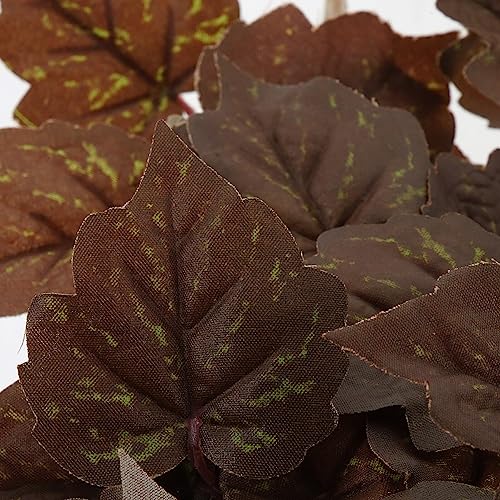 POPETPOP Terrarium Container Plants Habitats Leaves Hanging Terrarium Plant Vines with Suction Cups for Turtle Beared Dragon Hermit Crab Lizards Geckos Snake