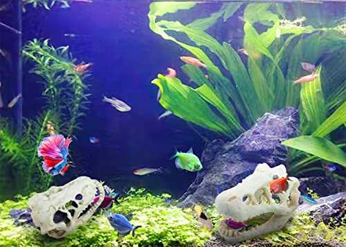 2Pcs Aquarium Decoration Dinosaur Skull Skeleton Fish Tank Cave Pet Reptile | Desert Reptile Bearded Dragon Snake Tank Decor Hideaway for Fish Natural Look Fun Underwater Environment