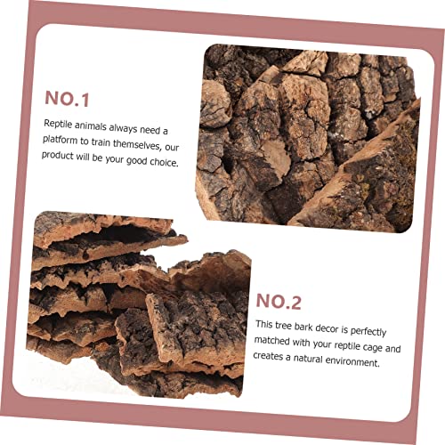 Mipcase 10pcs Cork Bark for Terrarium Reptile Tank Decor Turtle Platform Natural Reptile Tree Bark Set