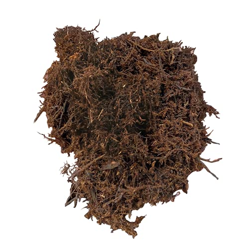 Josh's Frogs Tree Fern Fiber Substrate (10 quarts)