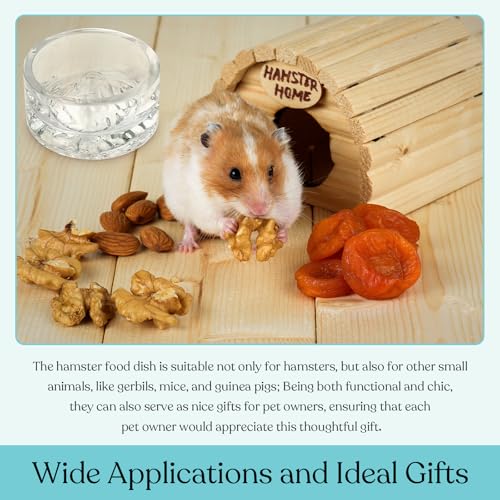 Baderke 2 Pcs Hamster Water Bowls Glass Hamster Food Bowls 35ml Mountain Style Drinking Container Anti Turning for Guinea Pig Gerbils Mice Rats Chinchilla Small Pets(Clear and Green) - color: Clear and Green