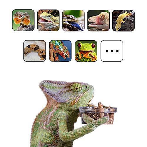 200Pcs Crested Gecko Food Dish, 0.5oz Plastic Reptile Feeding Cups - size: 200Pcs