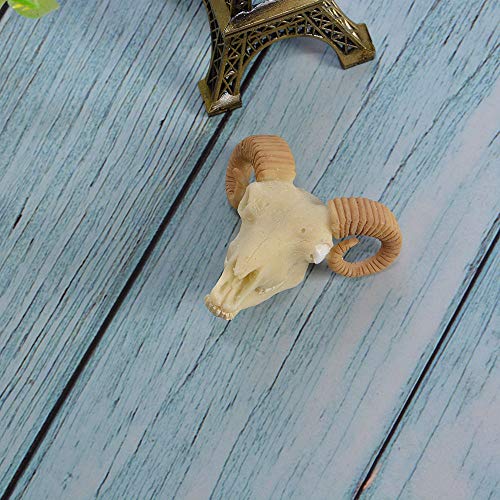 Wixine 1Pcs Aquarium Resin Sheep Head Skull Fish Tank Ornament Terrarium Reptile Decorations