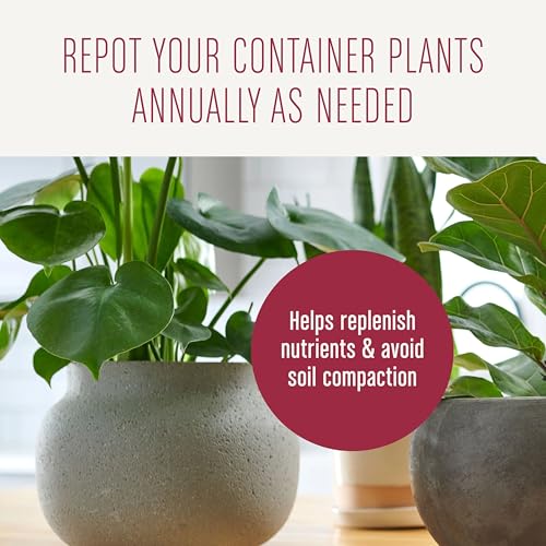 Miracle-Gro Houseplant Potting Mix - Fertilized Indoor Plant Soil for Containers, Designed to be Less Prone to Gnats, 4 qt. - size: 1 Pack, style: Houseplant